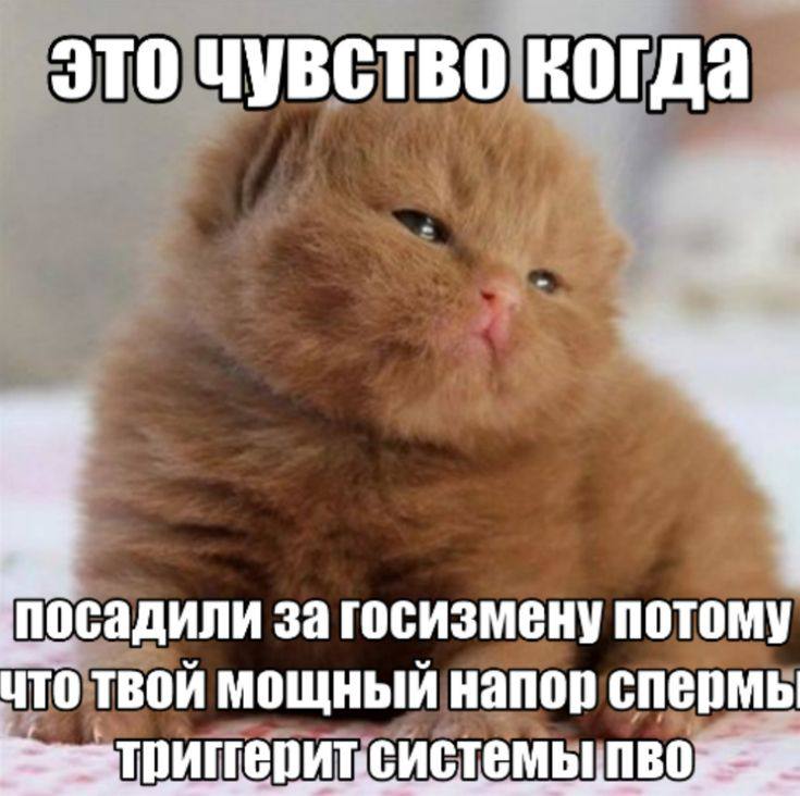 это чувство когда посадили за госизмену потому что твой мощный напор спермь