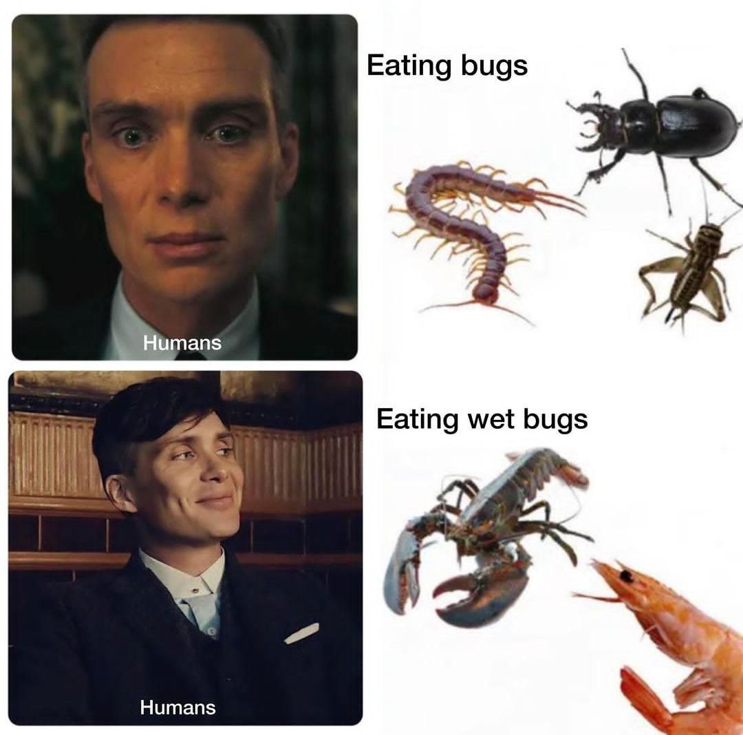Eating bugs Humans Eating wet bugs Humans