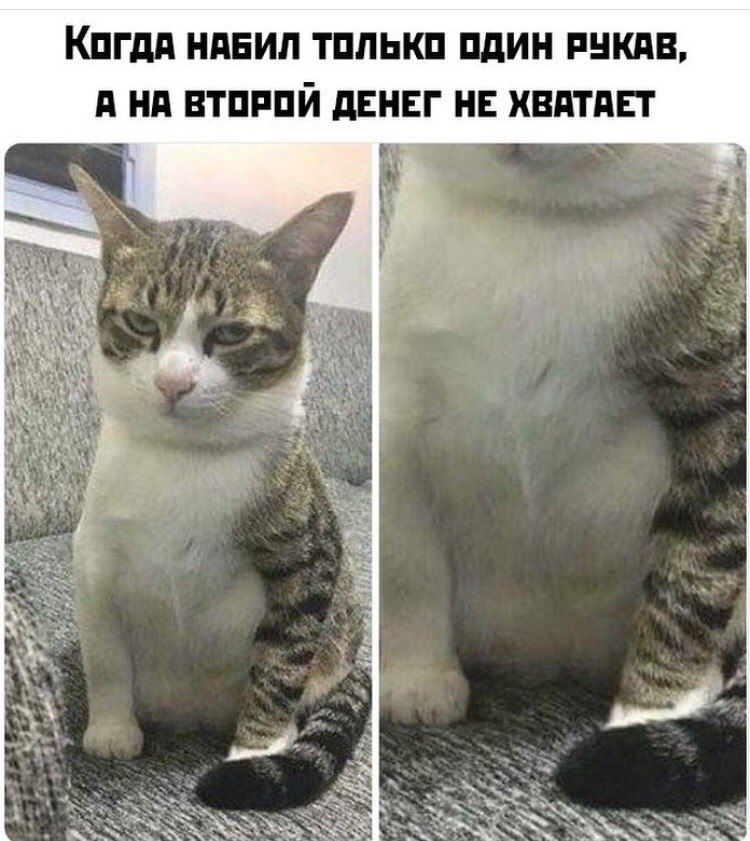 КогдА НАБИЛ ТОЛЬКО ОДИН РУКАВ, А НА ВТОРОЙ ДЕНЕГ НЕ ХВАТАЕТ a, у i a