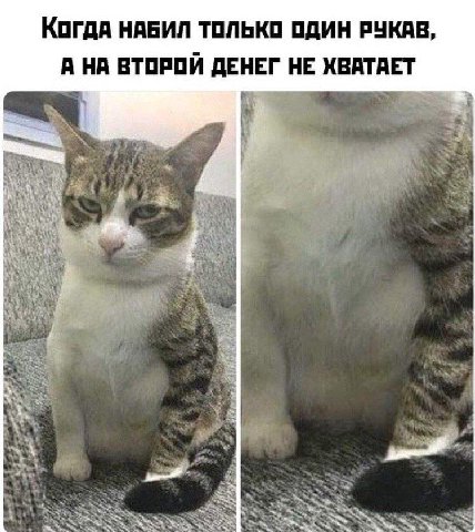 КогдА НАБИЛ ТОЛЬКО ОДИН РУКАВ, А НА ВТОРОЙ ДЕНЕГ НЕ ХВАТАЕТ a, у i a