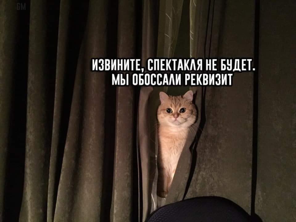 ИЗВИНИТЕ, СПЕКТАКАЯ НЕ БУДЕТ. МЫ ОБОССАЛИ РЕКВИЗИТ