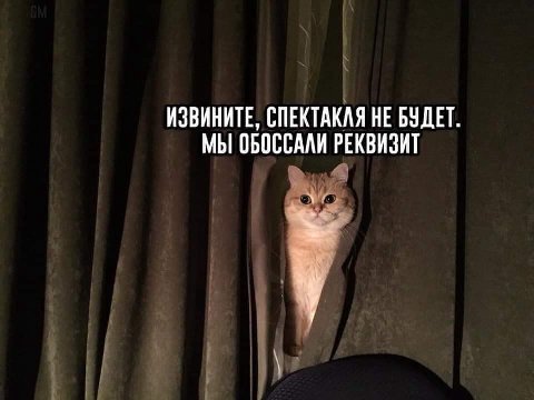 ИЗВИНИТЕ, СПЕКТАКАЯ НЕ БУДЕТ. МЫ ОБОССАЛИ РЕКВИЗИТ