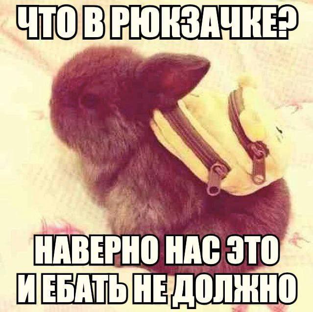 НАВЕРНО HAC ЭТО