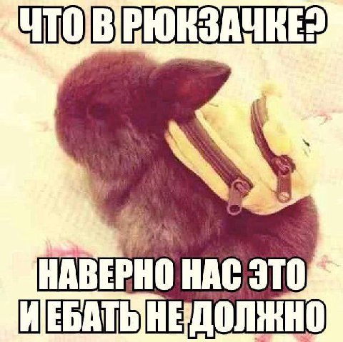 НАВЕРНО HAC ЭТО