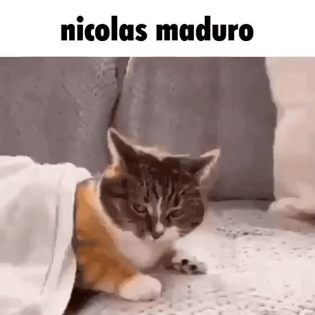 nicolas maduro