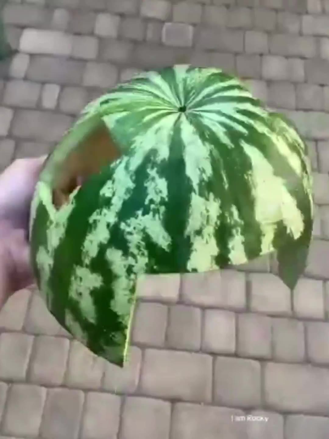 AN