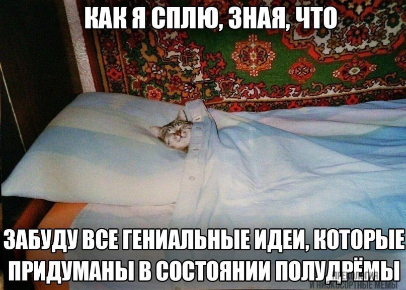 КАКЯ СПЛЮ, ЗНАЯ, ЧТО ЗАБУДУ ВСЕ ГЕНИАЛЬНЫЕ ИДЕИ, КОТОРЫЕ ПРИДУМАНЫ В СОСТОЯНИИ ПОЛУЛЭЕМЫ
