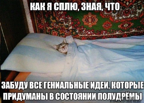 КАКЯ СПЛЮ, ЗНАЯ, ЧТО ЗАБУДУ ВСЕ ГЕНИАЛЬНЫЕ ИДЕИ, КОТОРЫЕ ПРИДУМАНЫ В СОСТОЯНИИ ПОЛУЛЭЕМЫ