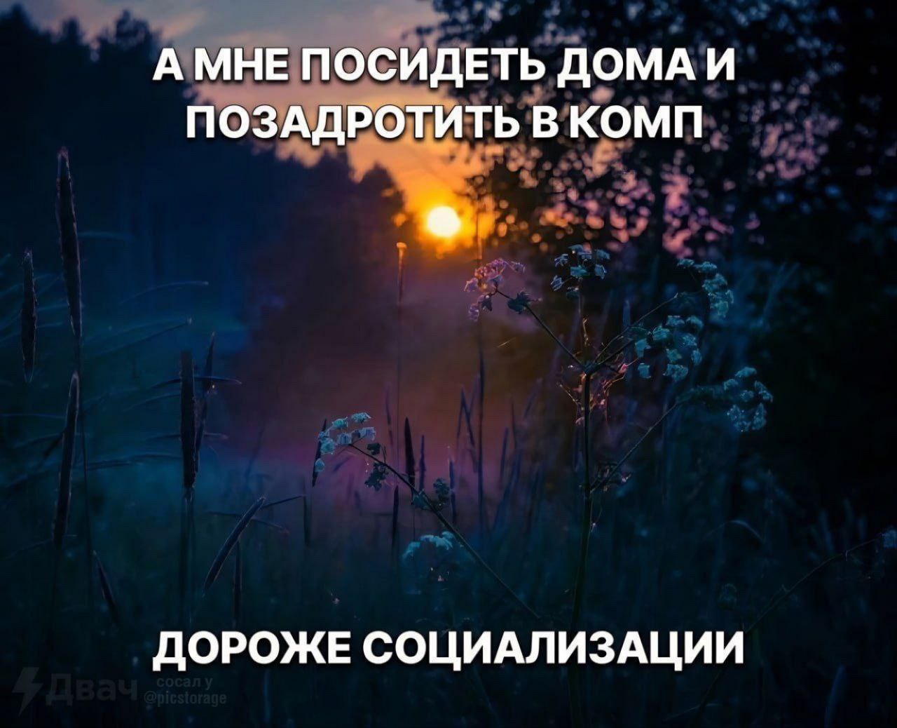 ПОСИДЕТЬ ДОМАИ ПОЗАДРОТИТЬ В КОМП ДОРОЖЕ СОЦИАЛИЗАЦИИ