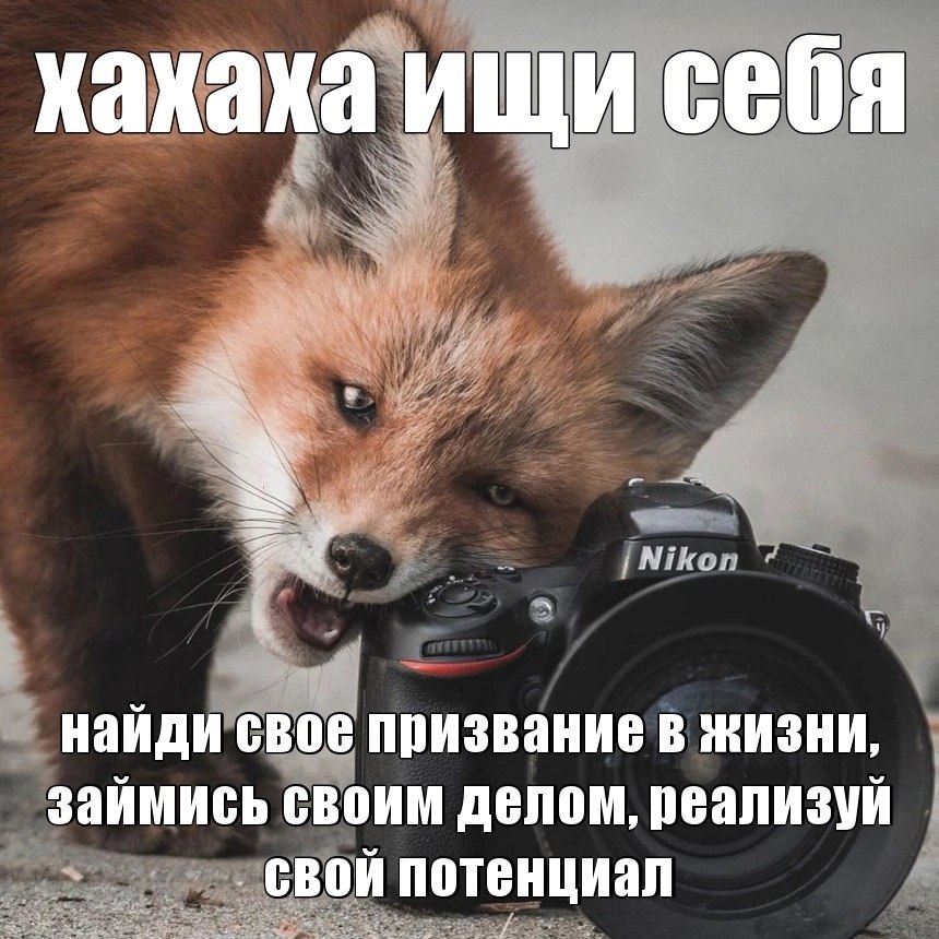 хахаха ищи себя найди свое призвание в жизни, займись своим делом, реализуй свой потенциал