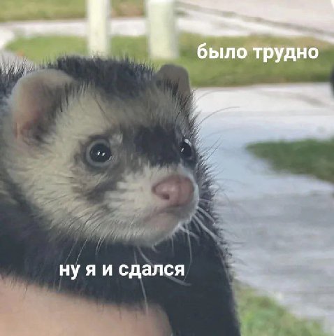 было трудно нуяи сдался