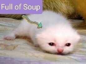 Full of Soup