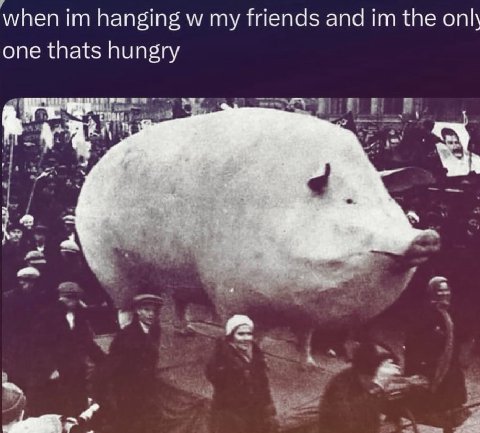 when hanging my friends and the one thats hungry i>