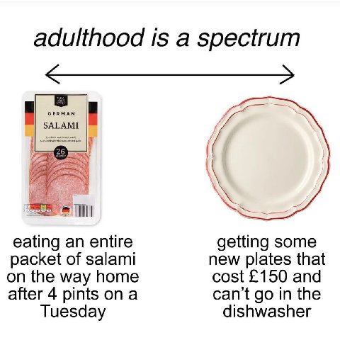 adulthood is a spectrum GERMAN SALAMI eating an entire getting some packet of salami new plates that on the way home cost £150 and after 4 pints ona can’t in the Tuesday dishwasher