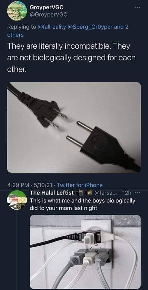 GroyperVGC Replying to @fallreality @Sperg_GrOyper and 2 others They are literally incompatible. They are not biologically designed for each other. 4:29 5/10/21 Twitter for iPhone The Halal Leftist я 