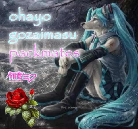 Dedicated to one of my favourite subscribers.

Not saying who though.
