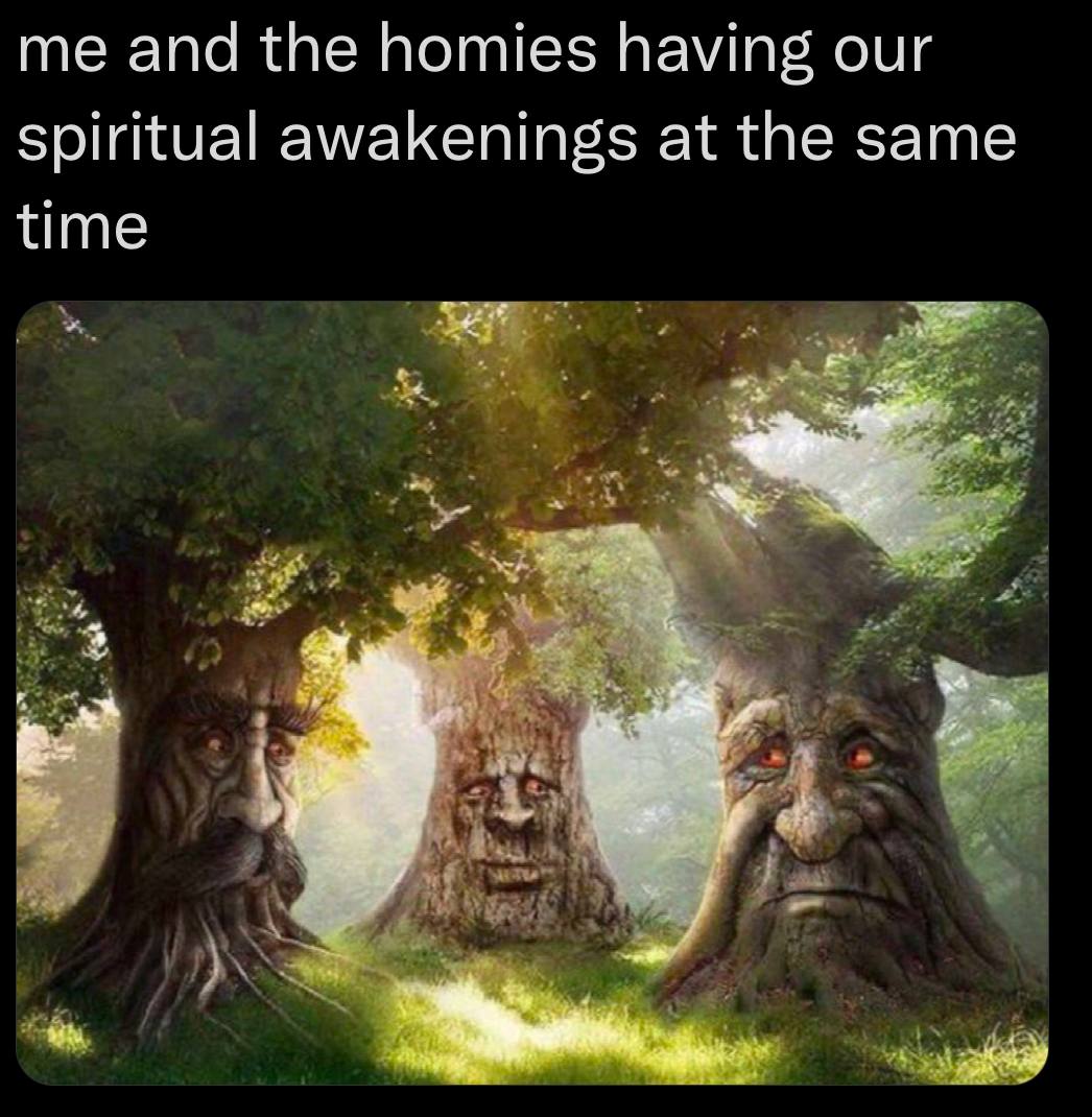 me and the homies having our spiritual awakenings at the same time