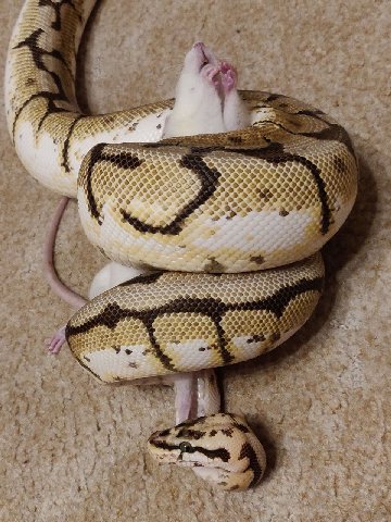 открыточка @kek_inside