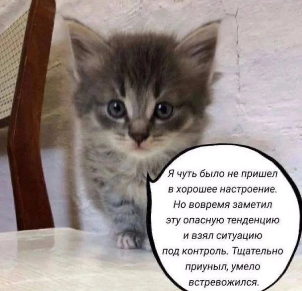 “4 Я чуть было не пришел в хорошее настроение. Но вовремя заметил эту опасную тенденцию и взял ситуацию под контроль. Тщательно приуныл, умело встревожился.