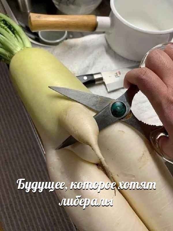 хотят