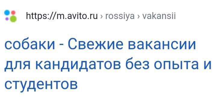 https://m.avito.ru rossiya vakansii собаки Свежие вакансии для кандидатов без опыта и студентов