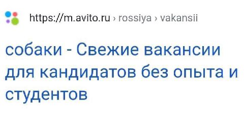 https://m.avito.ru rossiya vakansii собаки Свежие вакансии для кандидатов без опыта и студентов