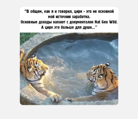 “В общем, как я и говорил, цирк это не основной мой источник заработка. Основные доходы капают с документалок Nat Geo Wild А цирк это больше для души...”