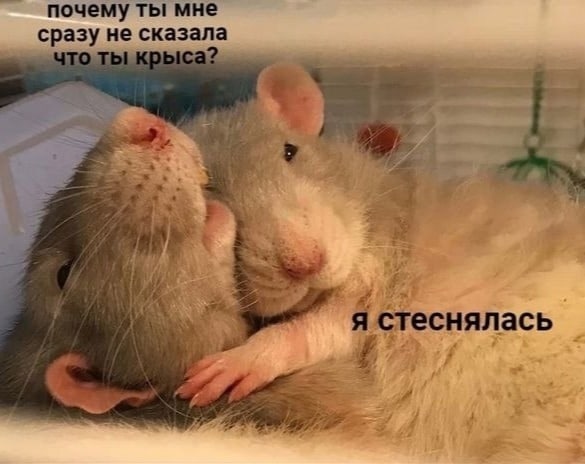мне сразу не сказала 2 3 2 4 я стеснялась
