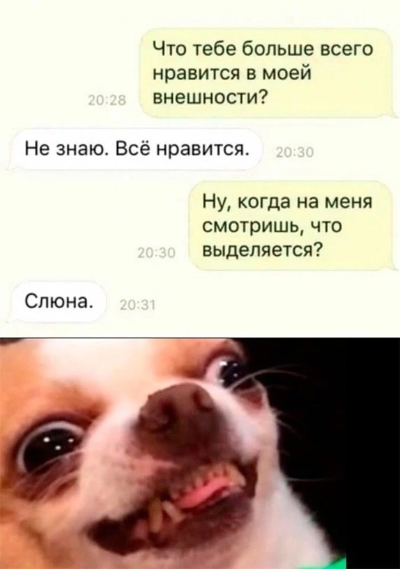 Что тебе больше всего нравится в моей внешности? Не знаю. Всё нравится. Ну, когда на меня смотришь, что выделяется? Слюна.