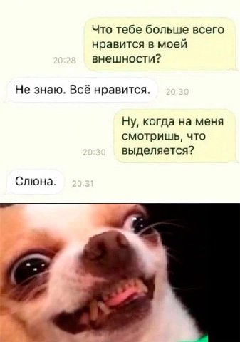 Что тебе больше всего нравится в моей внешности? Не знаю. Всё нравится. Ну, когда на меня смотришь, что выделяется? Слюна.