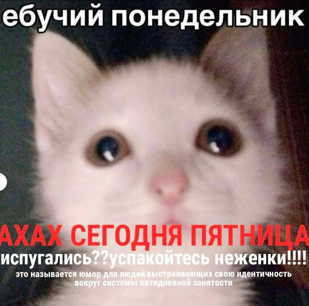 ебучии понедельник испугались? неженки!!!! это называется юмор. a свою идентичность