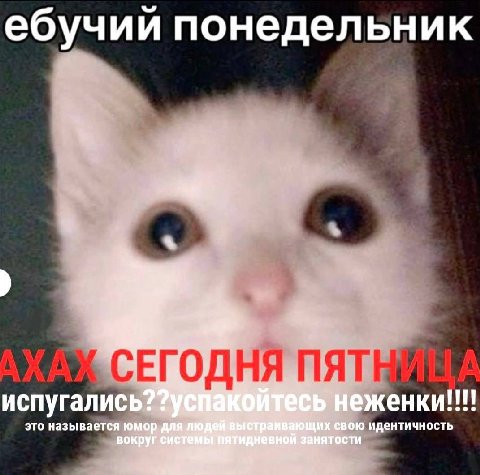 ебучии понедельник испугались? неженки!!!! это называется юмор. a свою идентичность