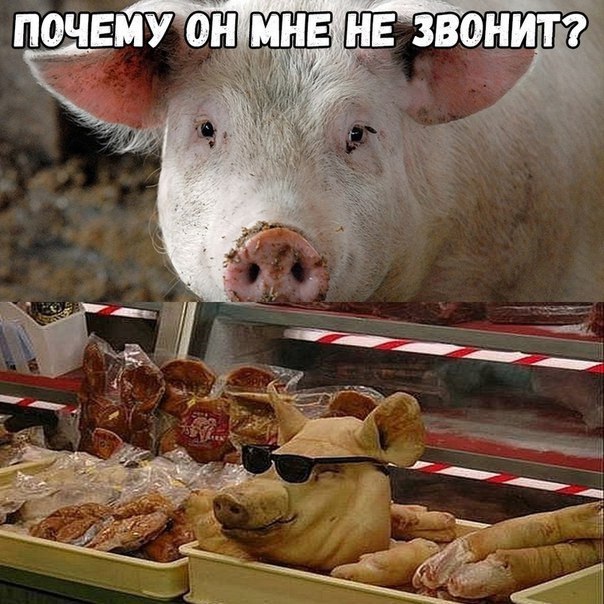 ПОЧЕМУ НЕ ЗВОНИТ?
