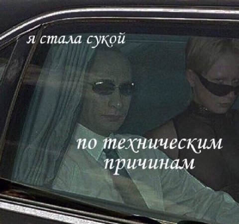 я стала сукой по техническим причинам