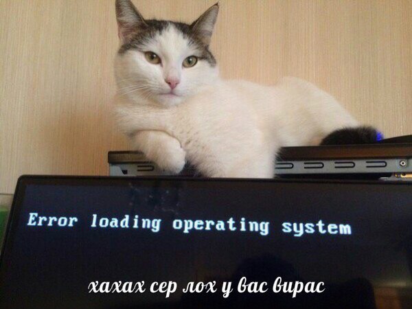 Вирас