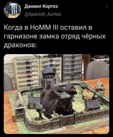 Даниил Кортез Когда в НоММ оставил в гарнизоне замка отряд черных драконов: Low