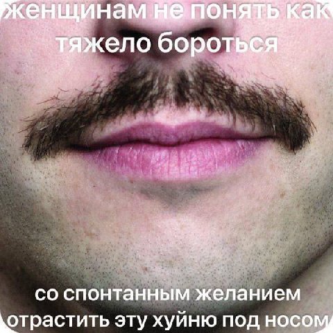 i спонтанным желанием `отрастить эту хуйню под носом