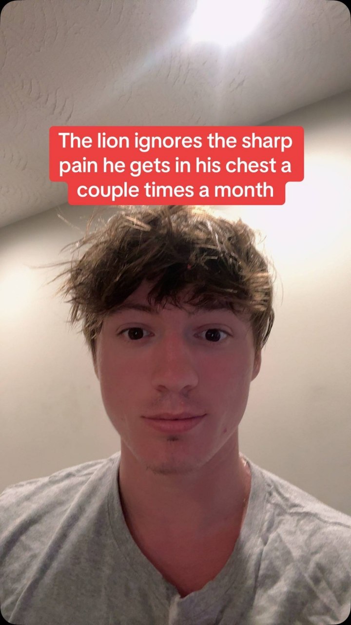 A The lion ignores the sharp рат he gets in his chest а couple times a month и я Я