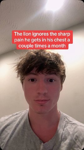 A The lion ignores the sharp рат he gets in his chest а couple times a month и я Я