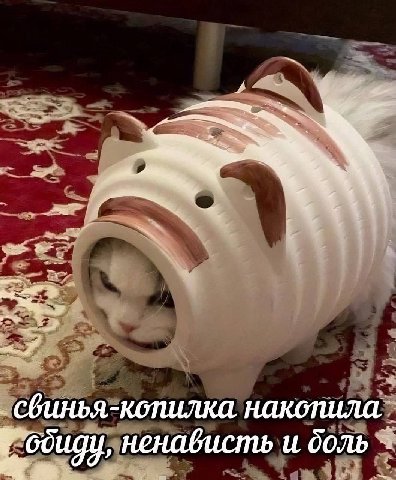 сбинья-копилка накопила ненависть и