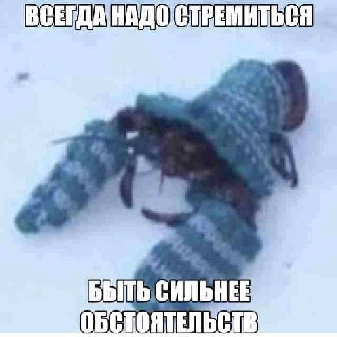 BbiTb СИЛЬНЕЕ ОБСТОЯТЕЛЬСТВ