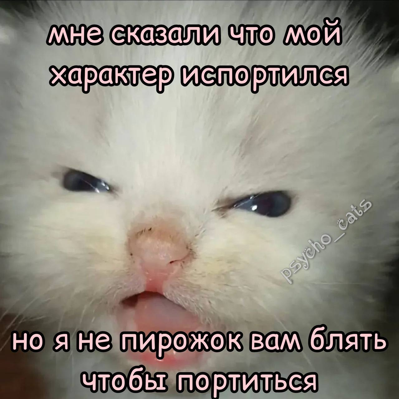 мне сказали что мой характериспортился Я но я не пирожок вам блять чтобы портиться