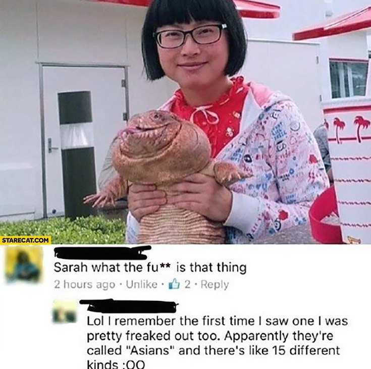 А ney it STARECAT.COM Sarah what the is that thing 2 hours ago Unlike 2 ‹ер!у is Lol remember the first time saw one was pretty freaked out too. Apparently they're called "Asians" and there's like 15 