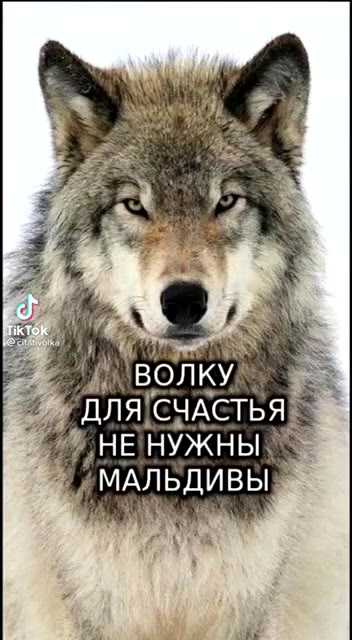 — © ДЛЯ СЧАСТЬЯ > _ УНЕ НУЖНЫ NS МАЛЬДИВЫ | ИМАЛЬДИВЫ В