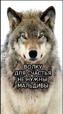 — © ДЛЯ СЧАСТЬЯ > _ УНЕ НУЖНЫ NS МАЛЬДИВЫ | ИМАЛЬДИВЫ В