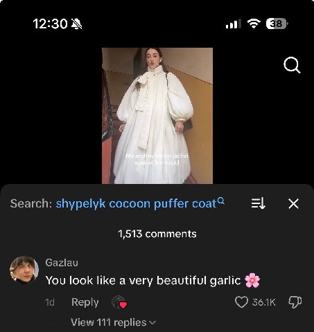 12:30 if я a Search: shypelyk cocoon puffer 1,513 comments Gazlau You look like a very beautiful garlic а Reply з6лк View 111 replies