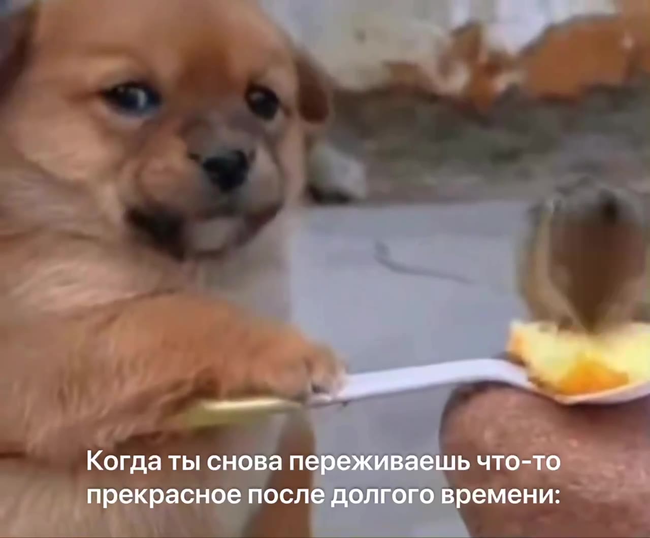 Когда ты сновапереживаешь что-то прекрасное после долгого времени: Когда ты снова переживаешь UTO-TO =