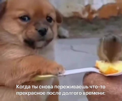 Когда ты сновапереживаешь что-то прекрасное после долгого времени: Когда ты снова переживаешь UTO-TO =