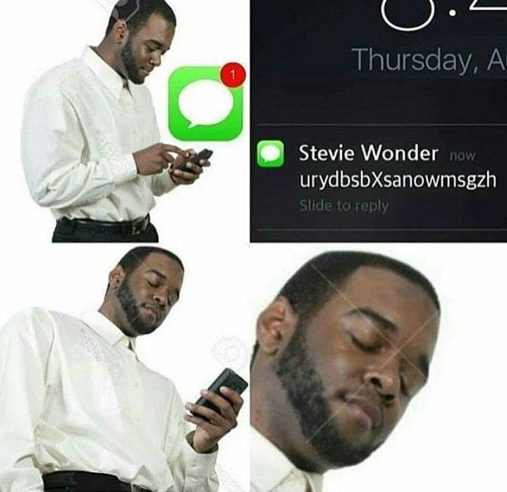 Stevie Wonder urydbsbXsanowmsgzh