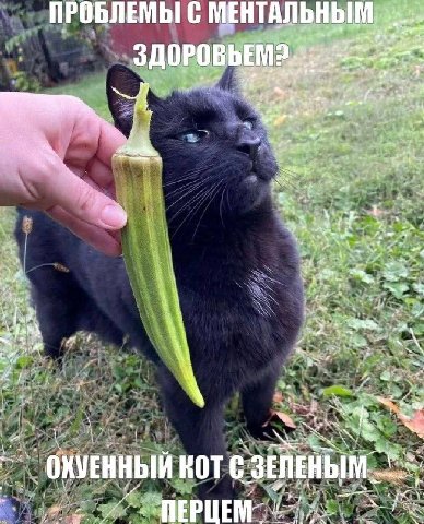 ПРОБЛЕМЫ С “а 4 at у 5 ОКУЕННЫЙ КОТ С ЗЕЛЕНЫМ.